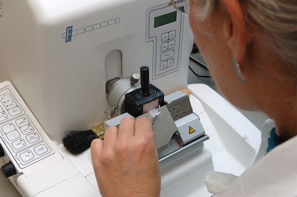 Image illustrates a laboratory personel doing sectioning of a paraffin embedded tissue.
